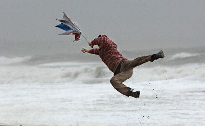 Reading The Wind