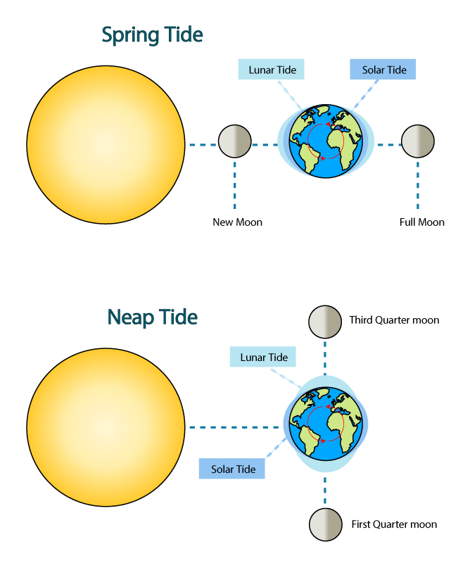 moon-tides